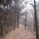 용문파크 이미지