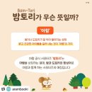 아람전자 이미지