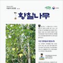 황칠염소탕