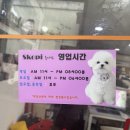 스코피홍대 이미지