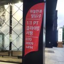 강남 서핑보드 트레이닝 팀에스