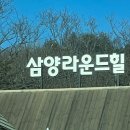 삼양목장 | [강원도 평창 여행] 차로 정상까지 대관령 '삼양라운드힐' 양떼목장 솔직 후기 🐏 (하늘목장 비교)