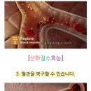 오엔오 네이버블로그