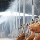 산우리농장 이미지