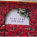 프라하&타로