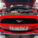 준크리닝 이미지