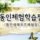 동인체험 이미지
