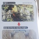 성산패총(유물전시관) 이미지