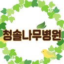 [1종나무병원/조경관리/수형관리/수목전지] 대구광역시 달성군 소재 공공기관 - 오토캠핑장 부지 내 수목전지,전정작업 및 위험목 제거 이미지