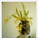 환타지아 이미지