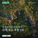 산수동한옥체험시설여로 | 무등산국립공원(광주) 근처 숙소 추천 3곳: 가격과 후기 장단점 정리