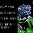 무주 금강벼룻길 이미지