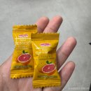 [경복궁 한복대여] &#39;궁가는여우&#39;에서 경복궁 한복스냅 한복대여 후기 및 꿀팁