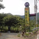 굴재골 Daum카페