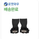 아이언짐 | 경산헬스장 아이언짐 24시 연중무휴 임당동헬스장 추천