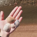 준태농장 이미지