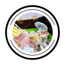 멍냥 | 청주 가경동 강아지, 고양이와 함께하는 반려동물 셀프스튜디오 멍냥사진관 방문후기