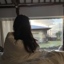 월정담 | 제주 월정담 독채 풀빌라 후기