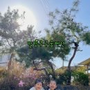 쿠쿠숲 이미지