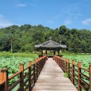 연꽃펜션 이미지