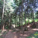 두동편백마을 이미지