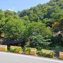 지리산펜션산장 이미지