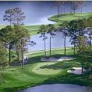 더비치라데나 이미지