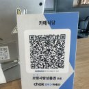 보령식당 | 보령 카메식당 후기 아기랑 가기 좋은 맛집 크림카레 알리오올리오 키즈메뉴 솔직후기