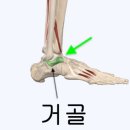 범피티 이미지