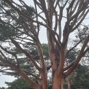 거진활어회센터 이미지