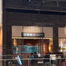 대구메트로아트센터 | 260222 뮤지컬 <위키드> Wicked 한국 마지막 투어 대구 내한 공연 후기/계명아트센터 1층 c블럭 15열