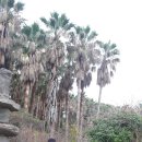 대륜동 법환포구 이미지