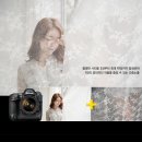 Nikon D4s 기본사양 및 정보 이미지