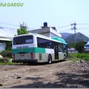 세왕 이미지