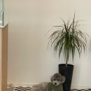 구유스테이 이미지