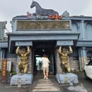 선민목장 | 돌아기와 애견동반 제주가족여행 목장카페 드르쿰다 방문