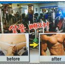 성광체육관 이미지