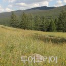 초원 이미지