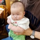 장수보신탕 - 안동시 | 등촌동 장수 흑염소 전골 후기! 처음 먹어본 흑염소, 의외로 괜찮았다!