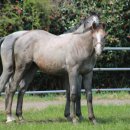 운성목장 이미지