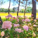 시민근린공원 입구 이미지