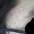 오렌지의원 이미지