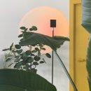 동성로 교동 카페 오브닛 ofneat