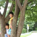 천천와룡자연휴양림 이미지