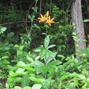 하늘농장8 이미지