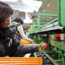 거점산지유통센터 이미지