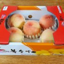 이준 농장 이미지