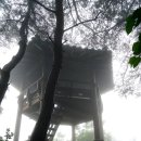 만경산 산림욕장 이미지