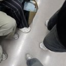 250516 일상기록