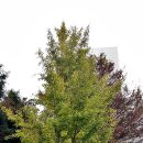 상동아름다운의원 이미지